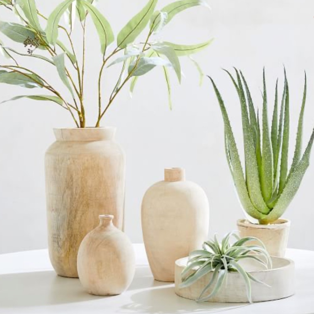 Pottery Barn Potted Speckle Aloe Vero Plant Terracotta Pot New In Box 🌿